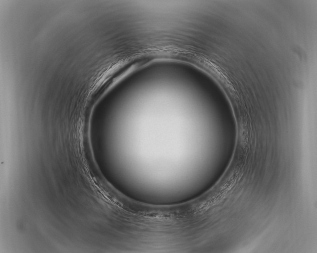X0000115770434200911131220