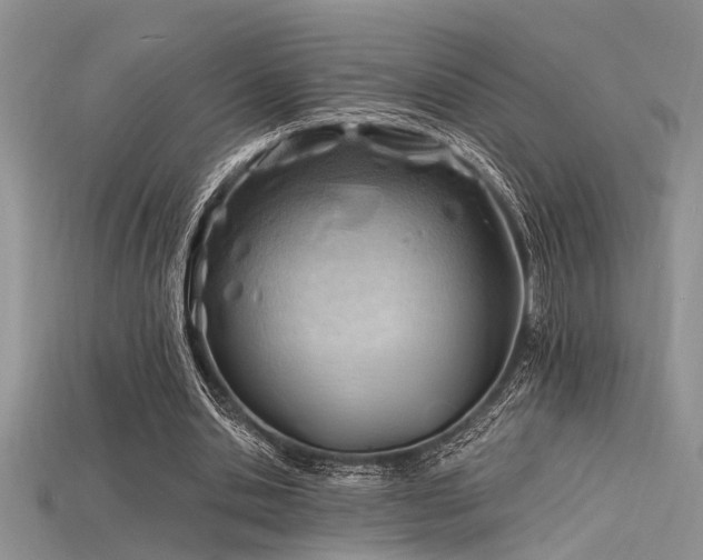 X0000115770438200911131220