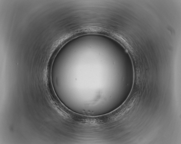 X0000115770439200911131220