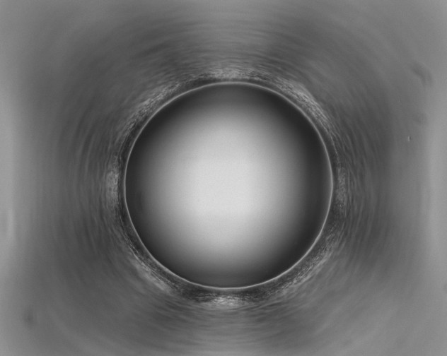 X0000115770441200911131220