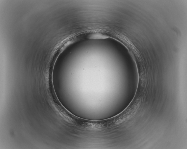 X0000115770442200911131220