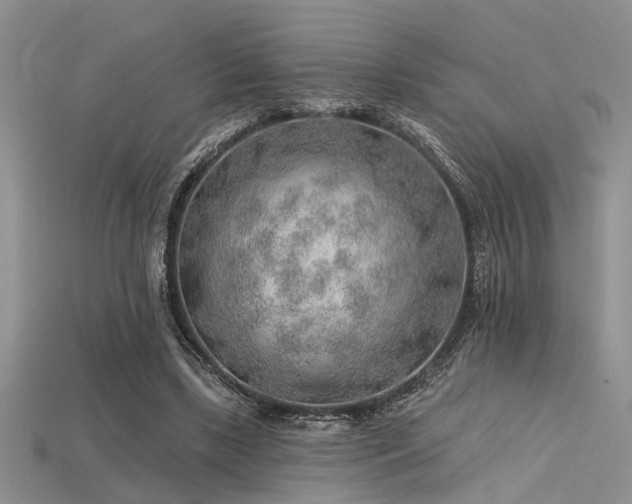X0000115770443200911131220