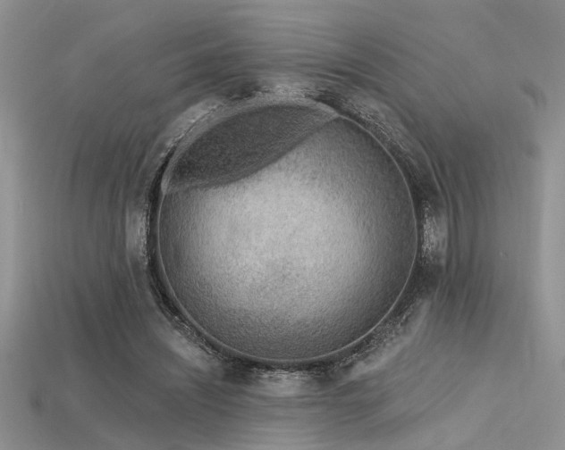 X0000115770444200911131220