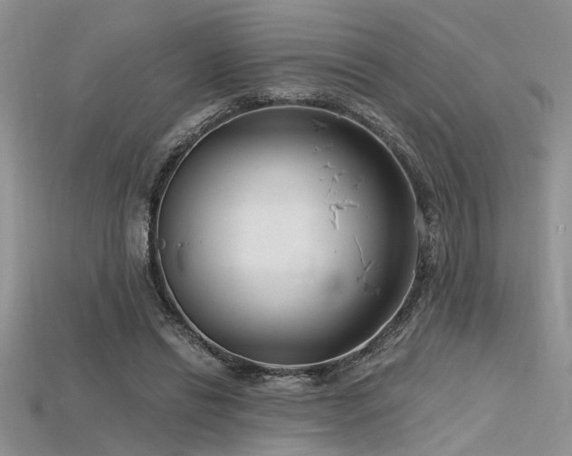 X0000115770446200911131220
