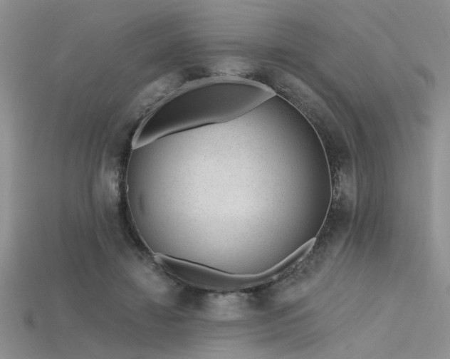 X0000115770452200911131220