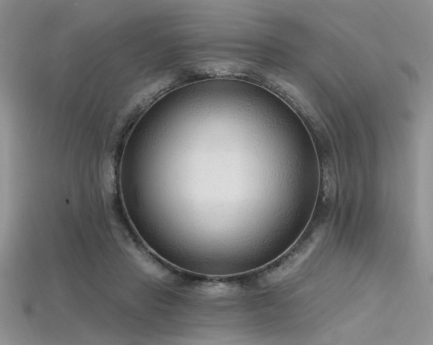 X0000115770453200911131220