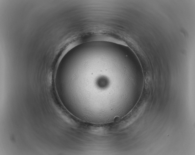 X0000115770454200911131220