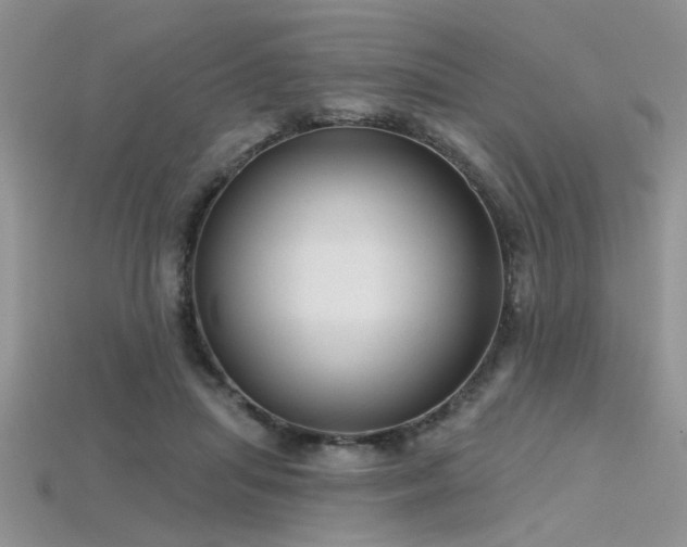 X0000115770455200911131220