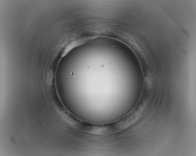 X0000115770458200911131220
