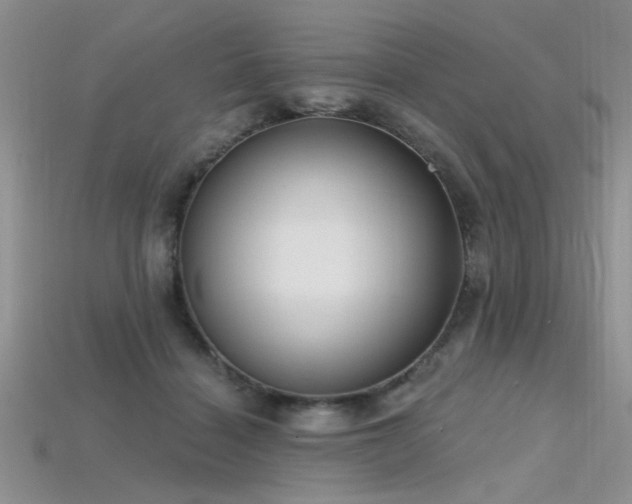 X0000115770460200911131221