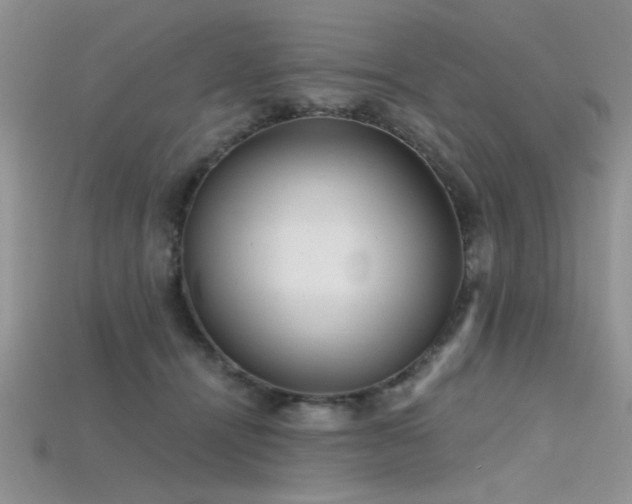 X0000115770464200911131221