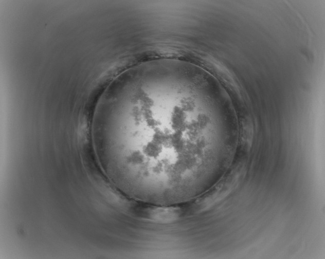 X0000115770465200911131221