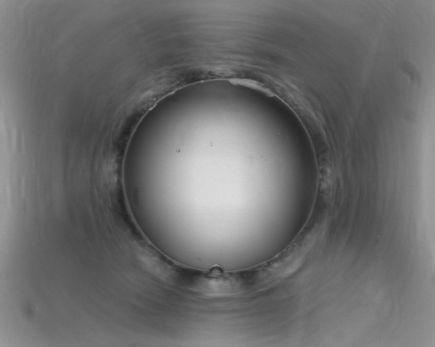 X0000115770466200911131221