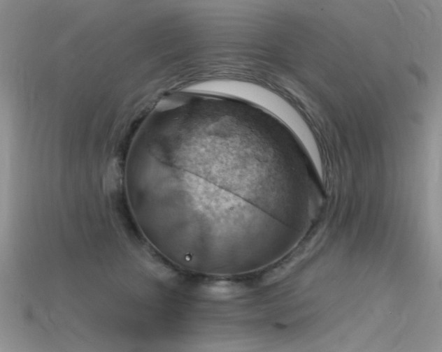 X0000115770467200911131221