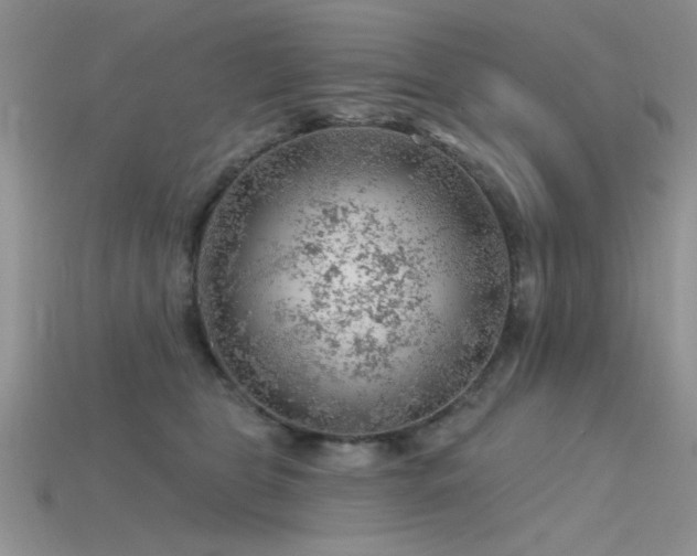 X0000115770469200911131221