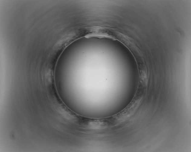 X0000115770470200911131221