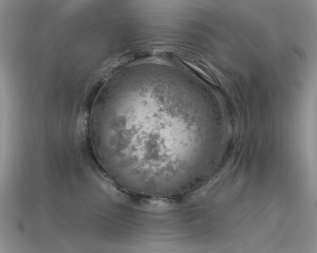 X0000115770475200911131221