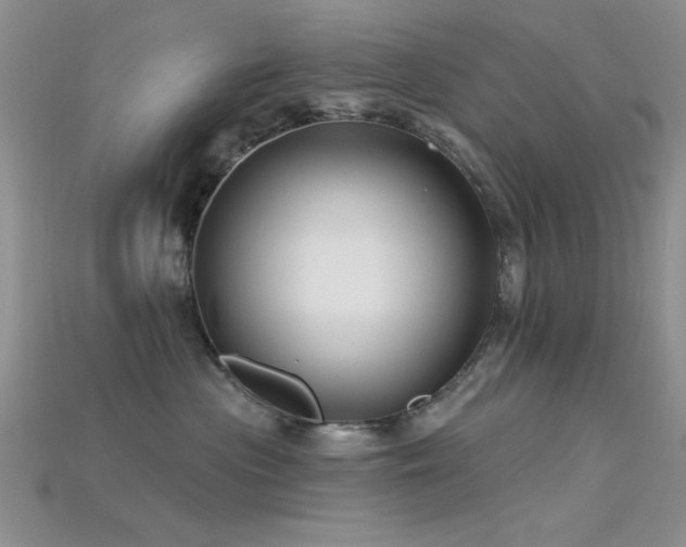 X0000115770477200911131221