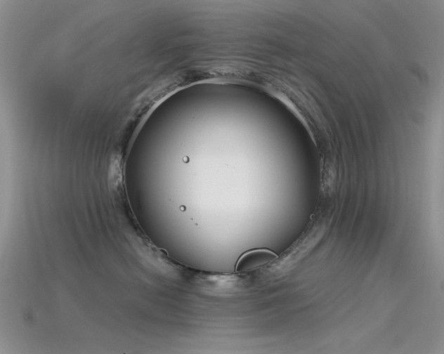 X0000115770478200911131221
