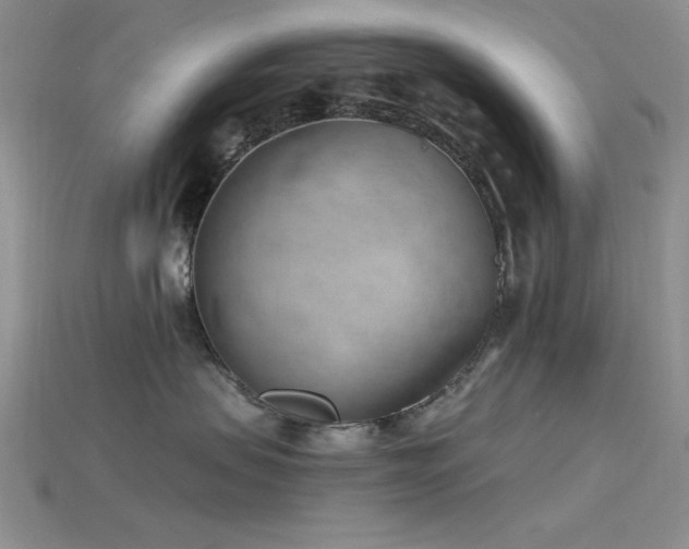 X0000115770479200911131221