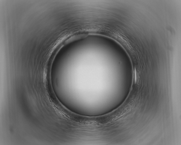 X0000115770483200911131220