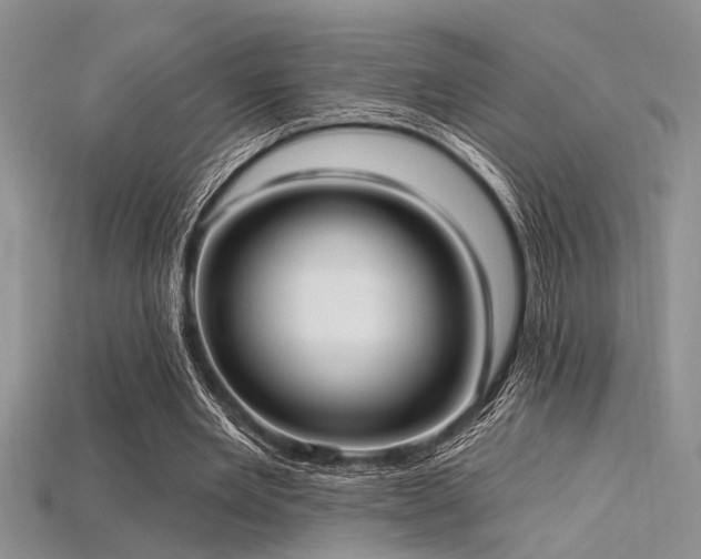 X0000115770485200911131220
