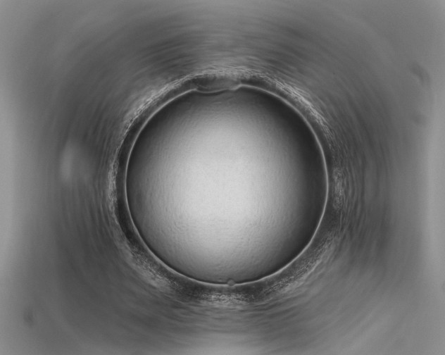 X0000115770487200911131220
