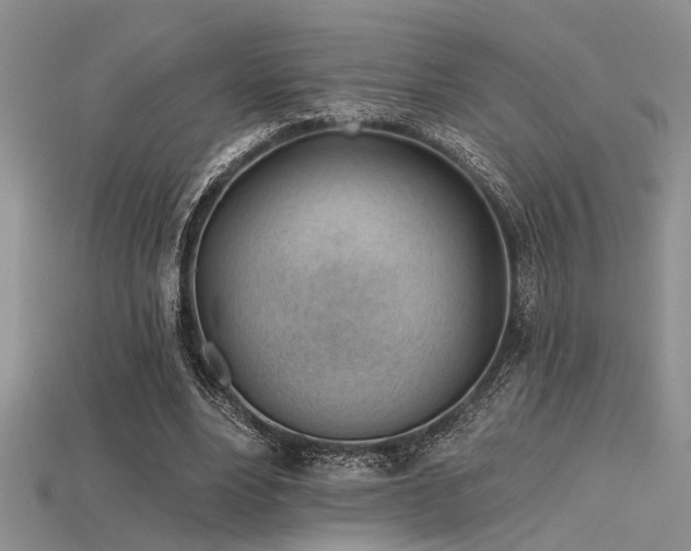 X0000115770488200911131220