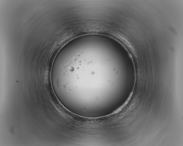 X0000115770489200911131220