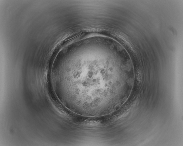 X0000115770491200911131220