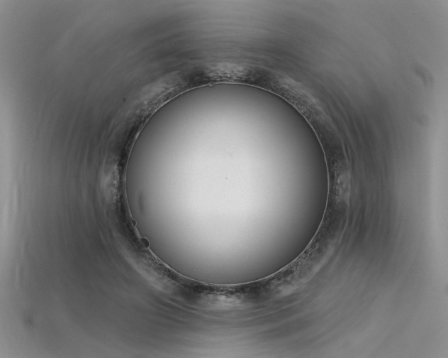 X0000115770498200911131220