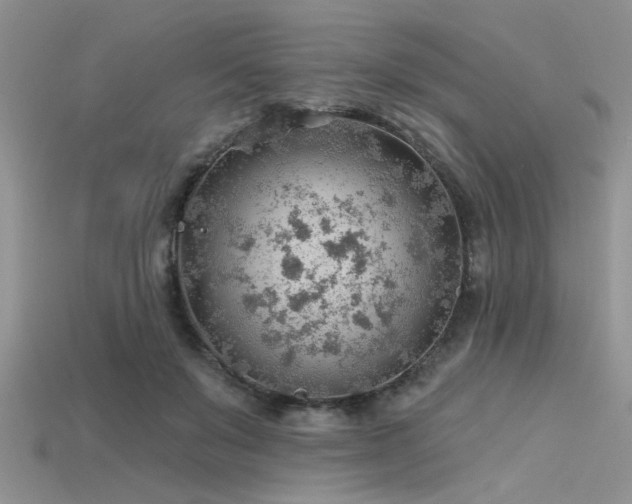 X0000115770503200911131220