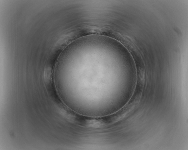 X0000115770511200911131220