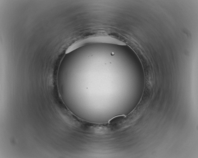 X0000115770512200911131220