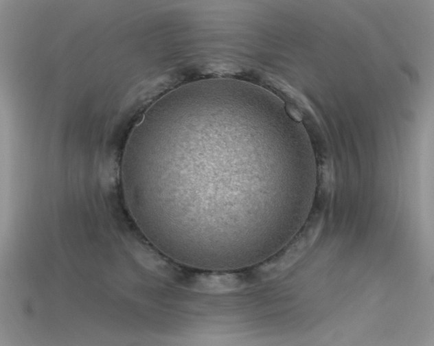 X0000115770517200911131220