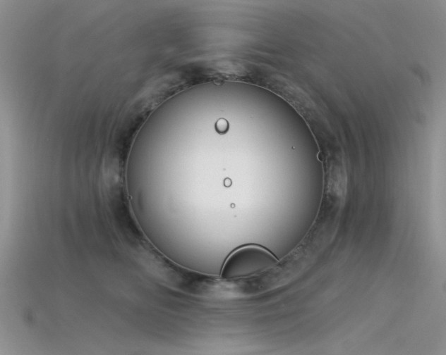 X0000115770518200911131220