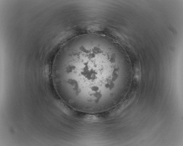 X0000115770519200911131220