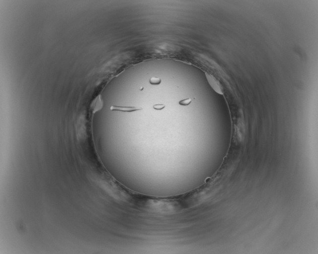 X0000115770520200911131220
