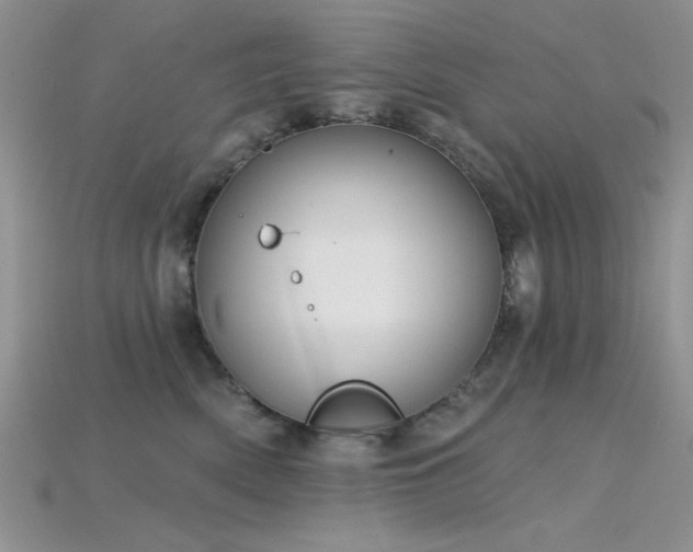 X0000115770522200911131220