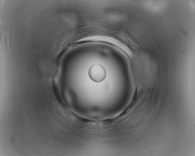 X0000115770524200911131220