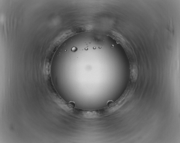 X0000115770525200911131220