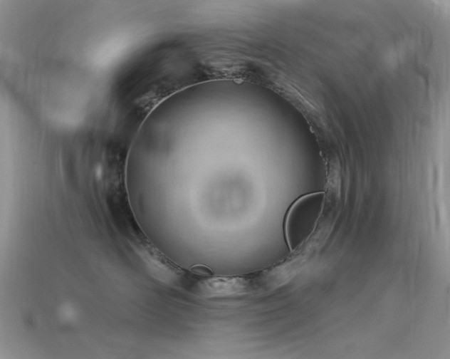 X0000115770526200911131220