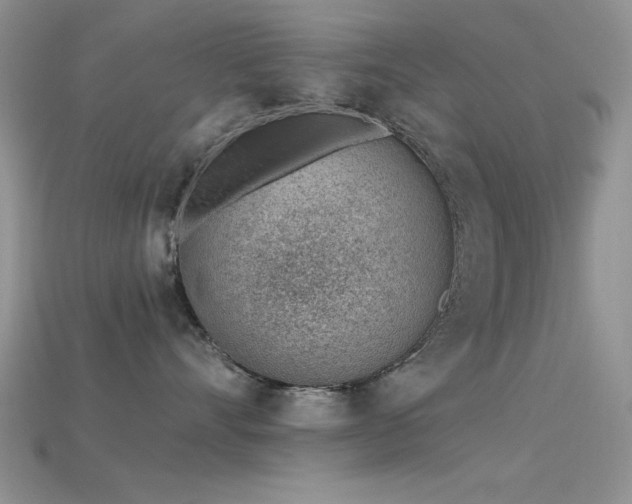 X0000115770528200911131220