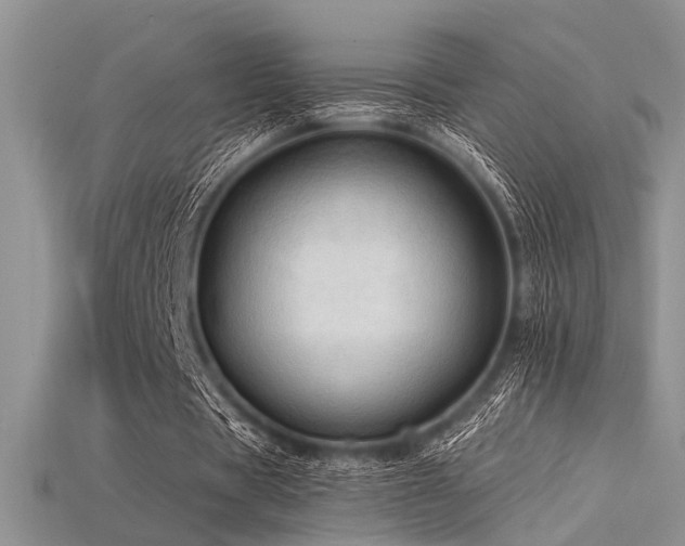 X0000115770529200911131219
