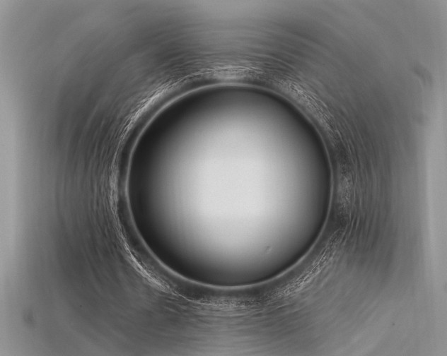 X0000115770530200911131219