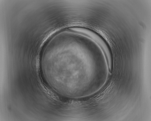 X0000115770531200911131219
