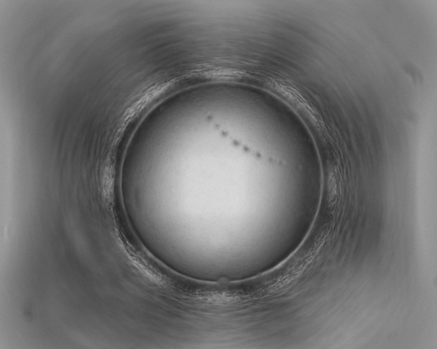 X0000115770533200911131219