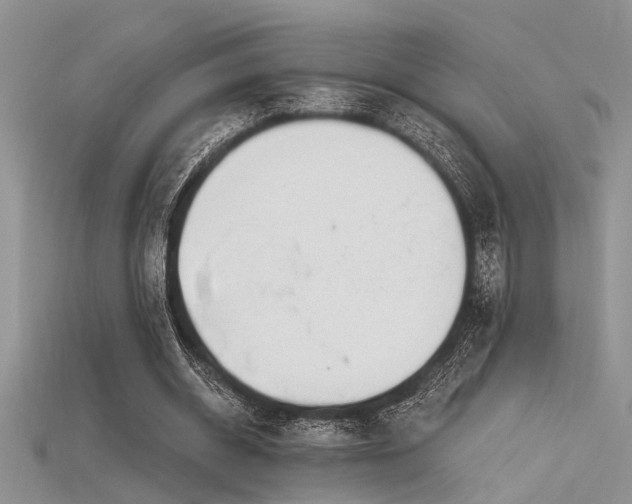 X0000115770534200911131219