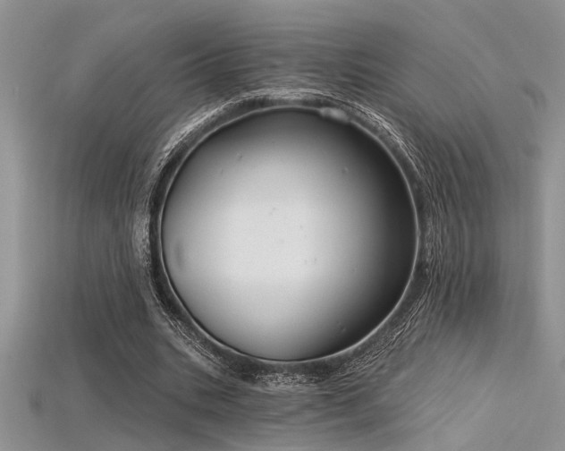 X0000115770535200911131219