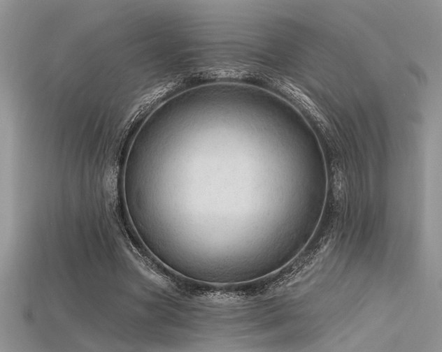 X0000115770537200911131219